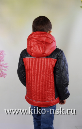 6585 Куртка на синтепоне