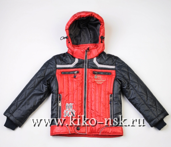 6585 Куртка на синтепоне